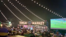 Tonsai Market Bearing