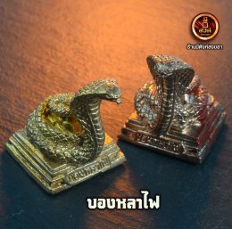 บองหลาไฟ