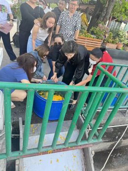 2026年4月4日放生活动