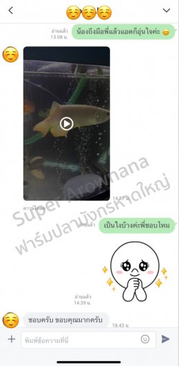 รีวิว จากลูกค้า