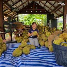 มูลนิธิอาร์ตโนแฮนด์  เยี่ยมชมฟาร์มผัก  "น้าเช็ค สุทธิพงศ์" 