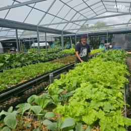 มูลนิธิอาร์ตโนแฮนด์  เยี่ยมชมฟาร์มผัก  "น้าเช็ค สุทธิพงศ์" 