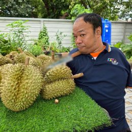 มูลนิธิอาร์ตโนแฮนด์  เยี่ยมชมฟาร์มผัก  "น้าเช็ค สุทธิพงศ์" 