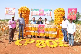 C.P. 802 Field Day at Davangiri District, Karnataka State