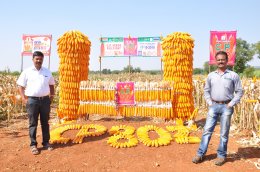 C.P. 802 Field Day at Davangiri District, Karnataka State