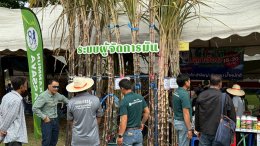 ผู้จัดการมัน ได้เข้าร่วมจัดบูธ ณ ที่งานประชุมใหญ่ สมาคมชาวไร่อ้อยเขต 6 กำแพงเพชร