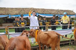 มูลนิธิพุทธภูมิธรรม ร่วมกับ กองทัพภาคที่ 1 กองทัพบก ไถ่ชีวิต โค-กระบือ ร่วมถวายเป็นพระราชกุศลสมเด็จพระนางเจ้าสิริกิติ์ พระบรมราชินีนาถ พระบรมราชชนนีพันปีหลวง