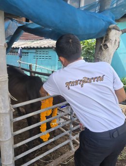 มูลนิธิพุทธภูมิธรรม ร่วมกับ กองทัพภาคที่ 1 กองทัพบก ไถ่ชีวิต โค-กระบือ ร่วมถวายเป็นพระราชกุศลสมเด็จพระนางเจ้าสิริกิติ์ พระบรมราชินีนาถ พระบรมราชชนนีพันปีหลวง