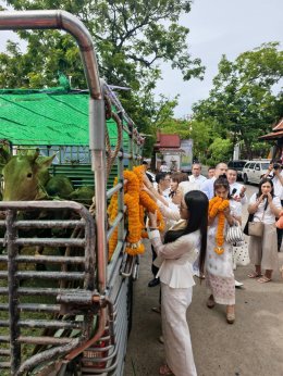 มหาบุญถวายแผ่นดินสยามทอดผ้าป่ารวมพลังศรัทธา5มหากุศล  ณ วัดชมภูเวก จังหวัดนนทบุรี สำเร็จลุล่วงบริบูรณ์ 