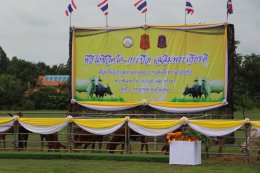 มูลนิธิพุทธภูมิธรรม ส่งโค-กระบือ จำนวน 72 ตัว ที่หมู่คณะ, ญาติธรรมและกัลยาณมิตรทุกท่านร่วมบุญไถ่ชีวิตกันมา มอบให้กับกองทัพภาคที่ 1