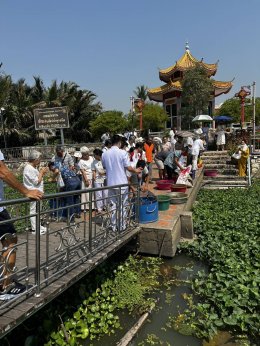 มูลนิธิพุทธภูมิธรรมและคณะบุญ เป็นตัวแทนทุกท่าน ถวายภัตตาหารเพลพระ และนั่งสมาธิภาวนา อธิษฐานจิตแผ่บุญไม่มีประมาณ ปล่อยปลา เต่า กบ หอย ไถ่ชีวิตแม่โคท้อง