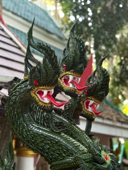 นาคาบารมี ถวายบายศรี "พญาศรีสุทโธนาคาธิบดี และองค์ศรีปทุมมา" ณ คำชะโนด อุดรธานี