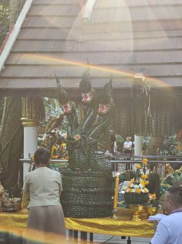 นาคาบารมี ถวายบายศรี "พญาศรีสุทโธนาคาธิบดี และองค์ศรีปทุมมา" ณ คำชะโนด อุดรธานี