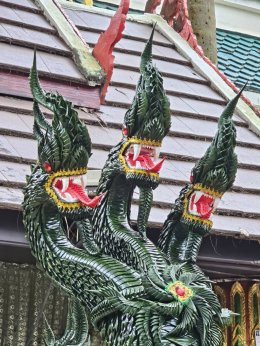 นาคาบารมี ถวายบายศรี "พญาศรีสุทโธนาคาธิบดี และองค์ศรีปทุมมา" ณ คำชะโนด อุดรธานี