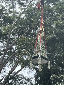 มหากฐิน68 วัดที่6 วัดป่าศรัทธาถวาย จ.อุดรธานี