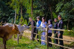 ผู้แทน อาจารย์วิจักษณ์ สองจันทร์ ประธานมูลนิธิพุทธภูมิธรรม มอบ โค จำนวน 30 ตัว 