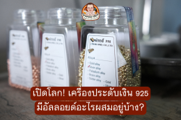 เปิดโลก_เครื่องประดับเงิน_925_มีอัลลอยด์อะไรผสมอยู่บ้าง