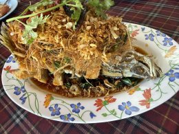 9月1日(火)アオナークルアシーフード AO NA KLUA SEAFOOD(海鮮料理 タイ料理)