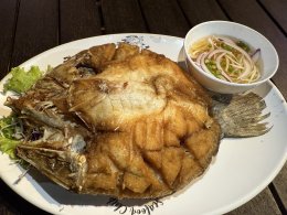 7月16日(水)シーフードクラブバンセン SEAFOOD CLUB BANGSAEN
