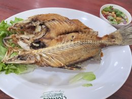 2025年5月30日(土)クルアルンニアンLung Nian Restaurant(タイ料理)