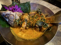 2026年9月16日(水)メイズアーバンタイダイン MAYs URBAN THAI DINE(タイ料理)