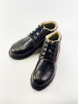 PPR Safety Shoes