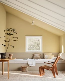 Color Trend