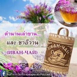 ชาอีวาน ฺИван чай