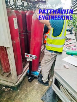 Fire Suppression Systems