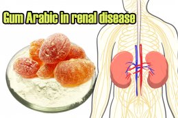 Gum Arabic used in chronic renal failure