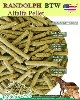 Randolph BTW Alfalfa Pellet-อัลฟัลฟ่าอัดเม็ดเพิ่มคุณค่าโภชนาการ