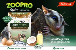  แรนดอล์ฟ-Exotic Nutrition Zoopro Glider Essential ขนาด 794กรัม