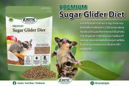 แรนดอล์ฟ-Exotic Nutrition PREMIUM SUGAR GLIDER DIET พรีเมี่ยม ชูการ์ไกลเดอร์ ไดเอท (908 กรัม)