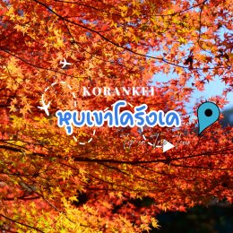 หนึ่งในจุดชมใบไม้เปลี่ยนสีที่สวยที่สุดในญี่ปุ่น!
