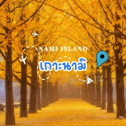 เกาะนามิ (Nami Island) เกาะเล็ก ๆ ที่ยิ่งใหญ่ด้วยเสน่ห์แห่งฤดูใบไม้เปลี่ยนสี