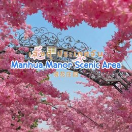 ทุ่งดอกไม้ Manhua Manor Scenic Area เฉิงตู ประเทศจีน