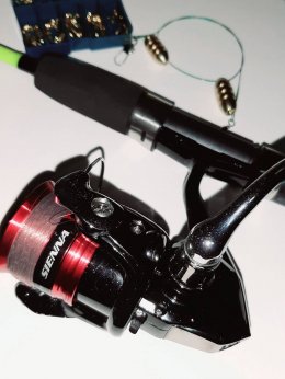 shimano sienna 500