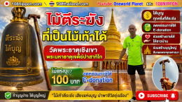 ไม้ตีระฆังแห่งวัดพระธาตุเชิงเขา ของที่ระลึกแห่งบุญจากสระบุรี