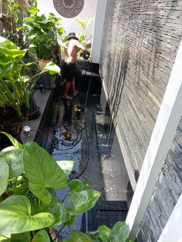 Pool Service