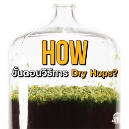 ทำไมต้องดรายฮ็อปส์ ? Dry Hops WHY ? WHAT ? HOW ? Which ?