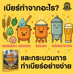 เบียร์ทำจากอะไร และกระบวนการทำเบียร์อย่างง่าย?