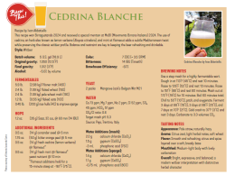  Homebrew in Italy: เมื่อศิลปะการทำเบียร์มาบรรจบกับกลิ่นอาย Tascany 