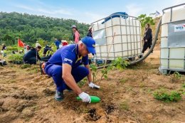 Matsui Eastern (Thailand) Co., Ltd. Participates in the WHA Tree Planting Project