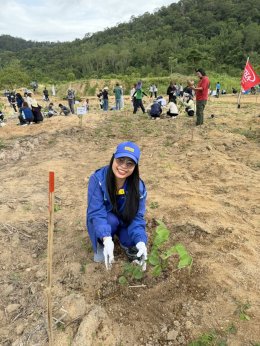 Matsui Eastern (Thailand) Co., Ltd. Participates in the WHA Tree Planting Project