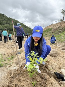 Matsui Eastern (Thailand) Co., Ltd. Participates in the WHA Tree Planting Project