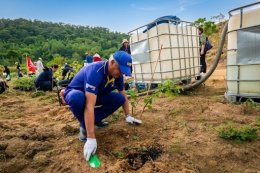 Matsui Eastern (Thailand) Co., Ltd. Participates in the WHA Tree Planting Project