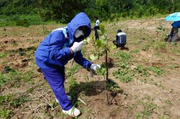 WHA Tree Planting Project "Let's Zero Togetther"