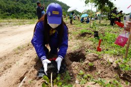 WHA Tree Planting Project "Let's Zero Togetther"