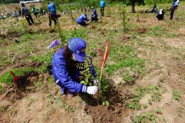 WHA Tree Planting Project "Let's Zero Togetther"