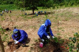WHA Tree Planting Project "Let's Zero Togetther"
